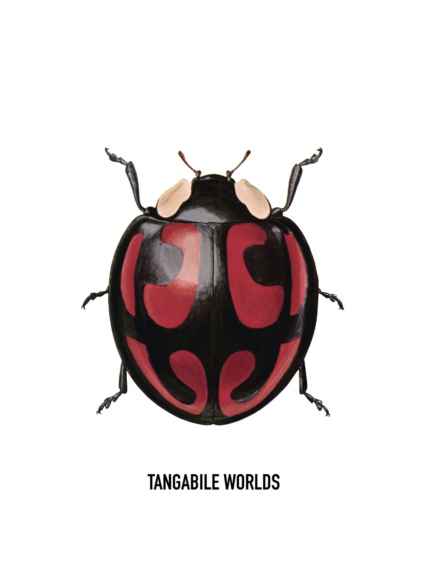Tangible Worlds — Concept Visual Identity