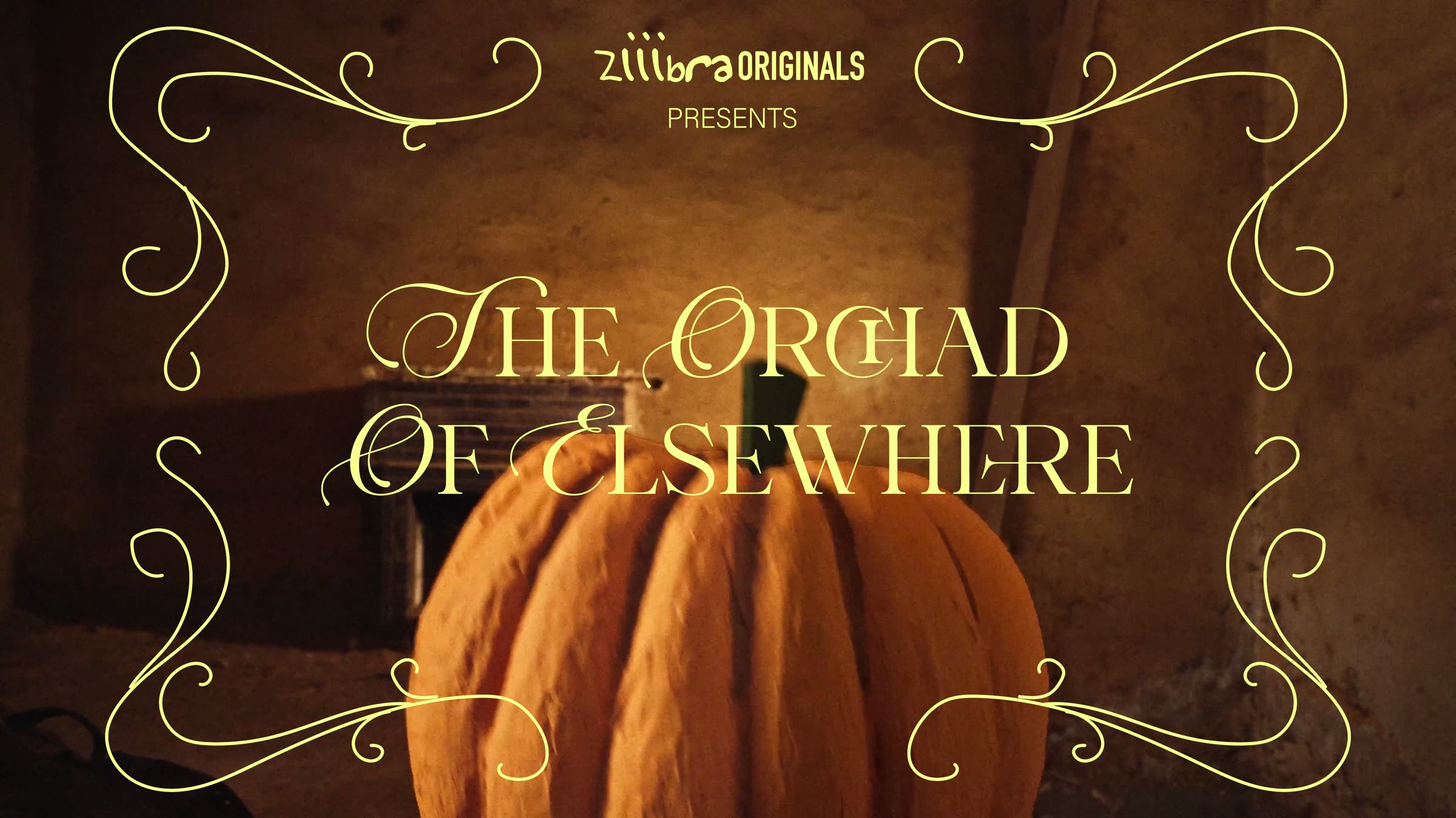The Orchad Of Elsewhere — Filmmaking